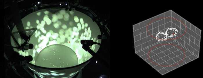 Controlling fly flight with visual motion