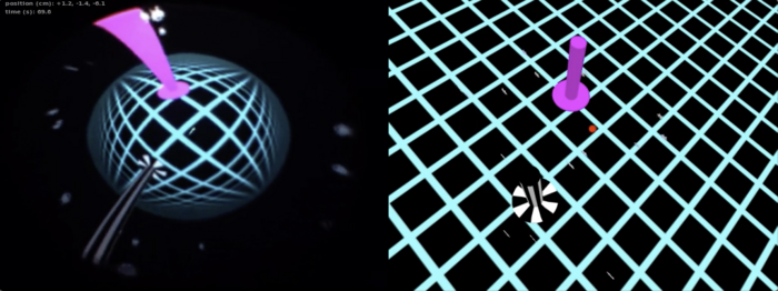 Real fish among virtual fish