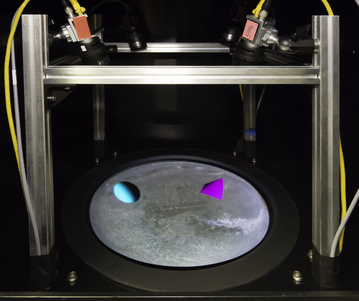 VR arena for freely swimming fish