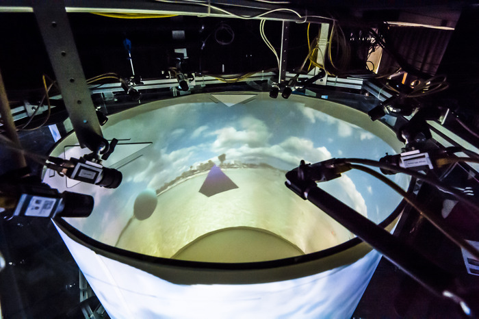 VR arena for freely flying flies